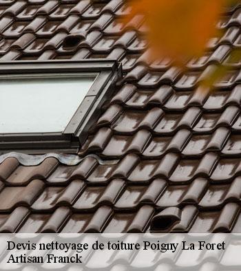 Devis nettoyage de toiture Hornberger Franck 78 couverture