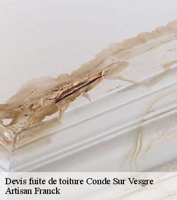 Devis fuite de toiture Hornberger Franck 78 couverture