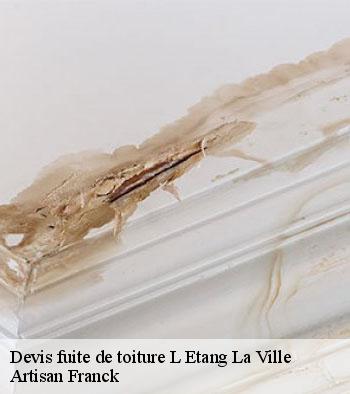 Devis fuite de toiture Hornberger Franck 78 couverture