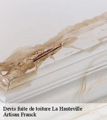 Devis fuite de toiture Hornberger Franck 78 couverture