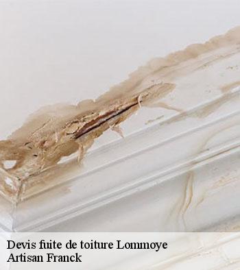 Devis fuite de toiture Hornberger Franck 78 couverture