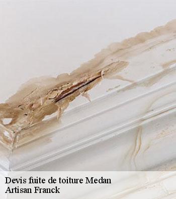 Devis fuite de toiture Hornberger Franck 78 couverture