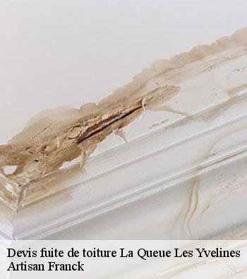 Devis fuite de toiture Hornberger Franck 78 couverture