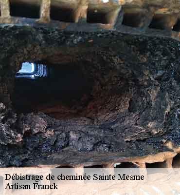 Artisan Franck Débistrage de cheminée